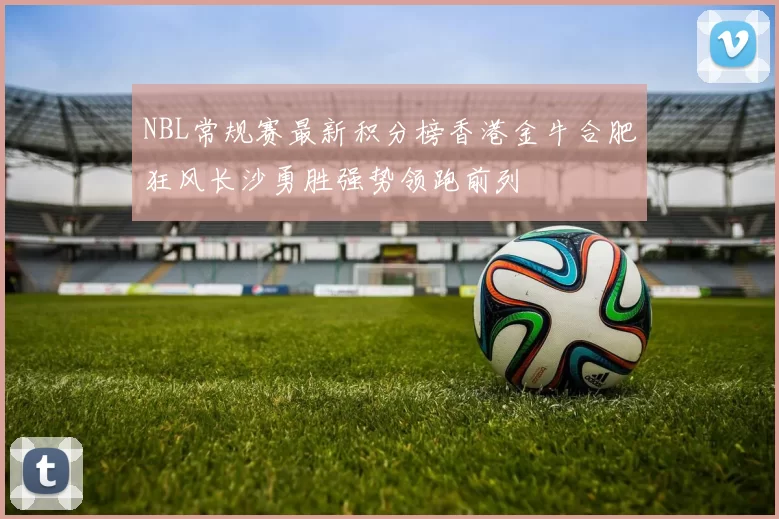 NBL常规赛最新积分榜香港金牛合肥狂风长沙勇胜强势领跑前列